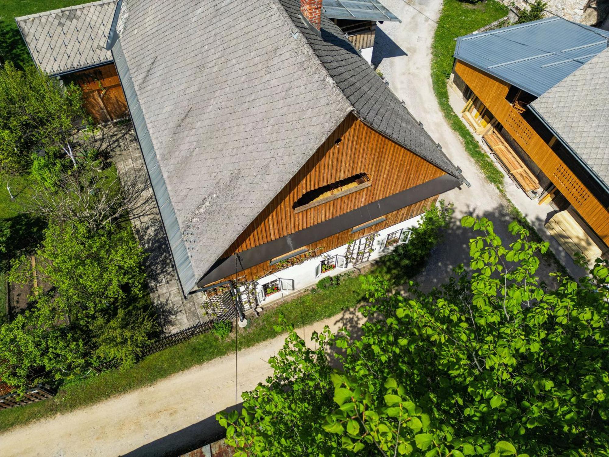 House, Garden And A Green Cat Блед Екстер'єр фото