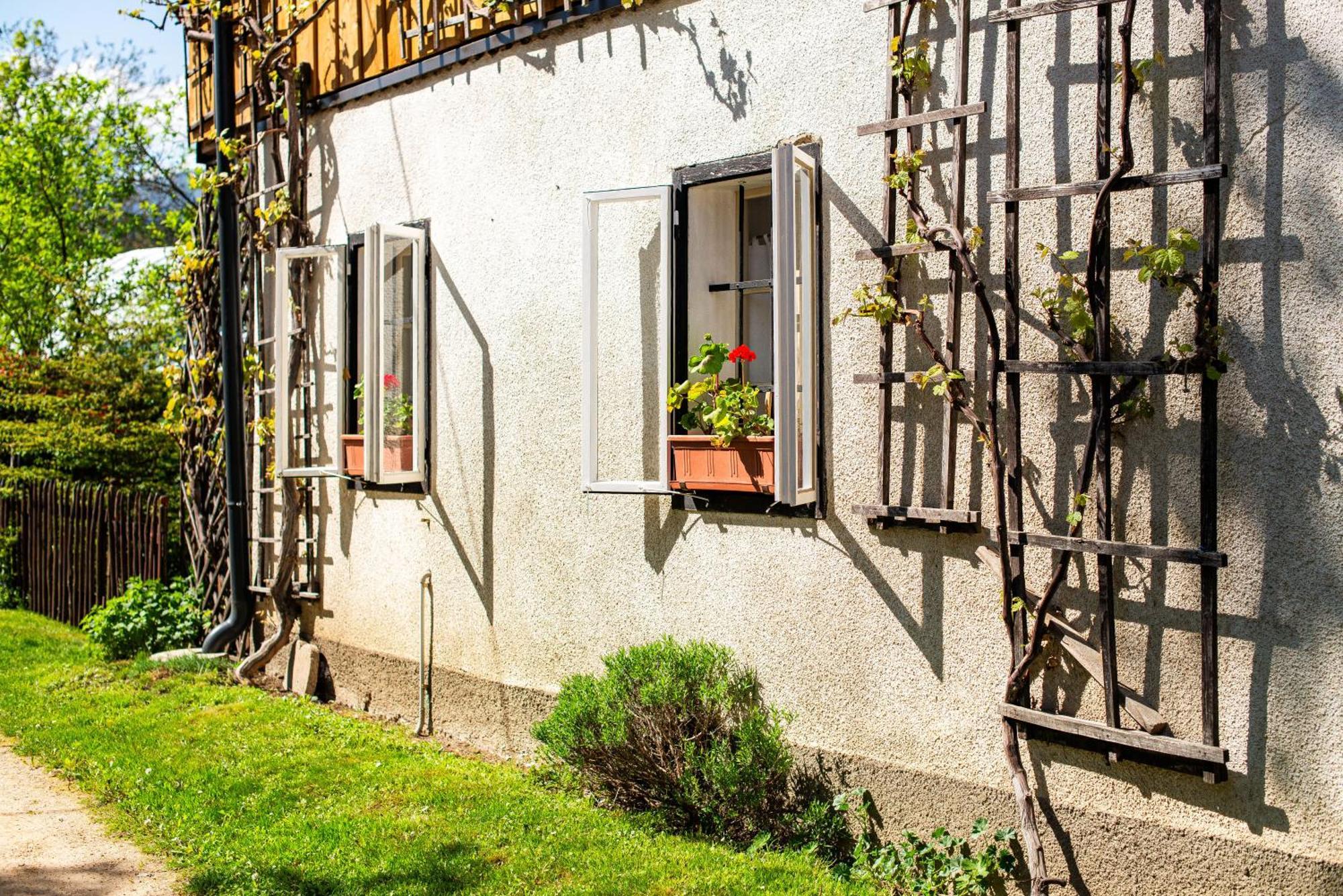 House, Garden And A Green Cat Блед Екстер'єр фото