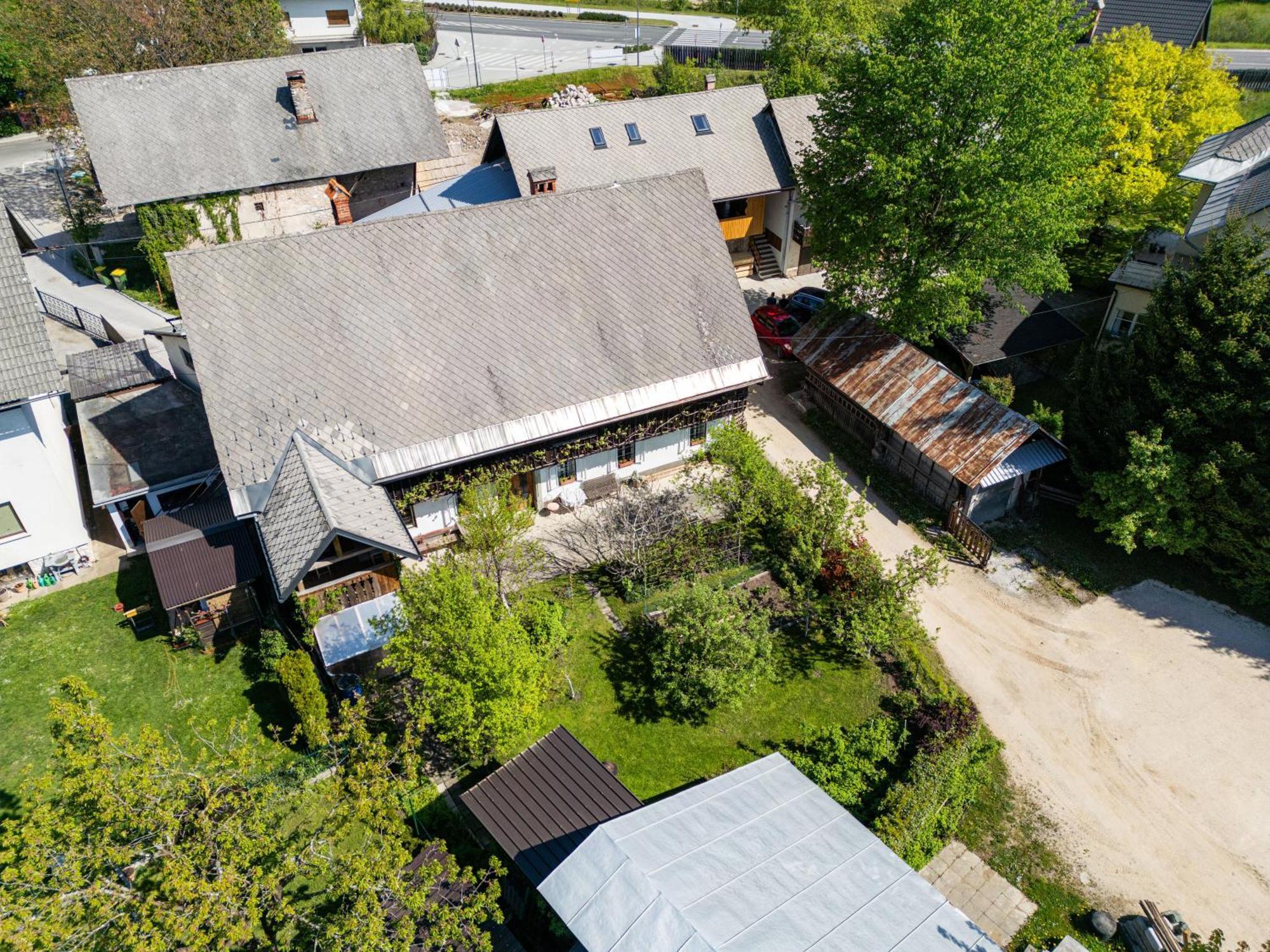 House, Garden And A Green Cat Блед Екстер'єр фото