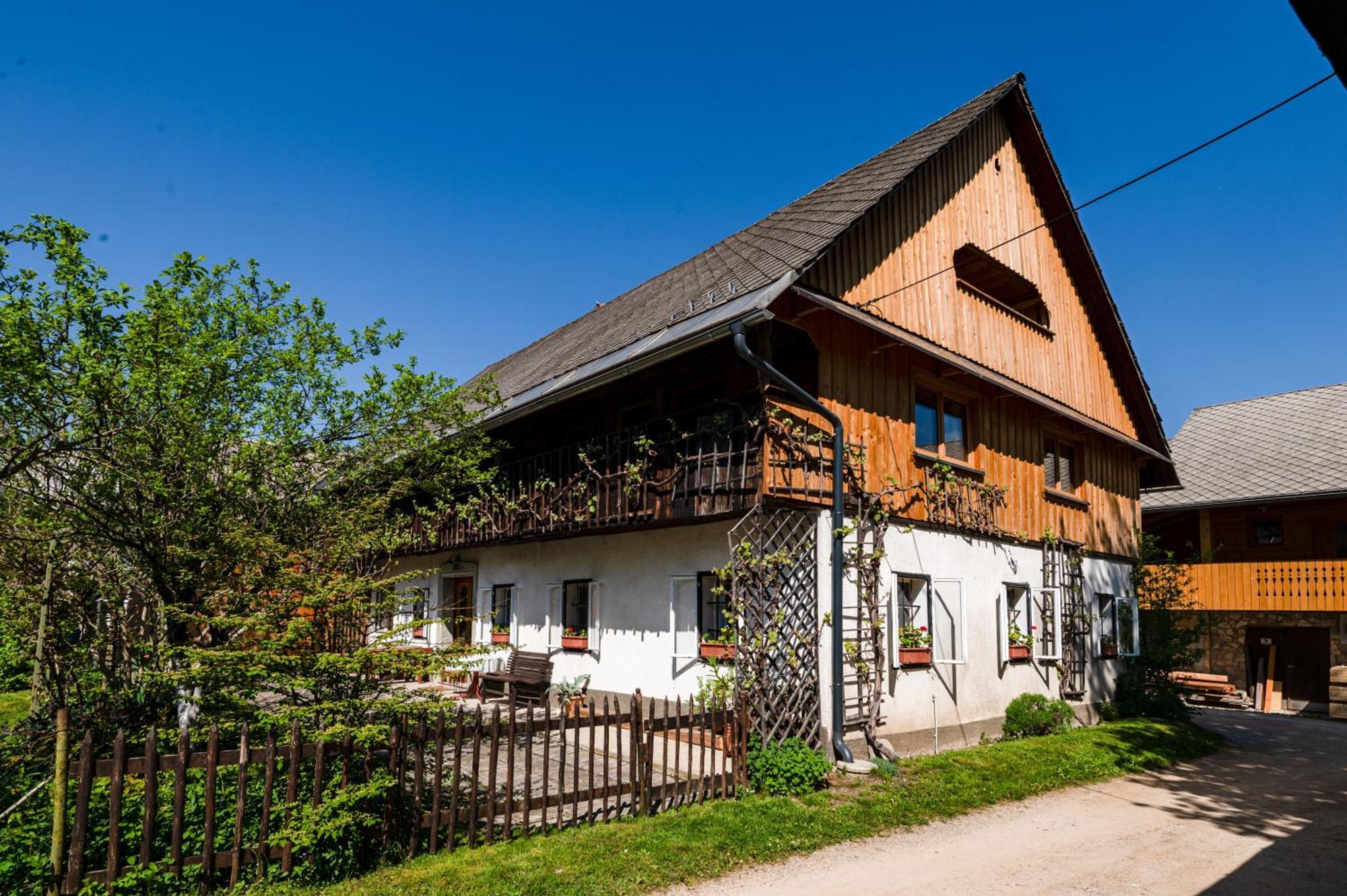House, Garden And A Green Cat Блед Екстер'єр фото