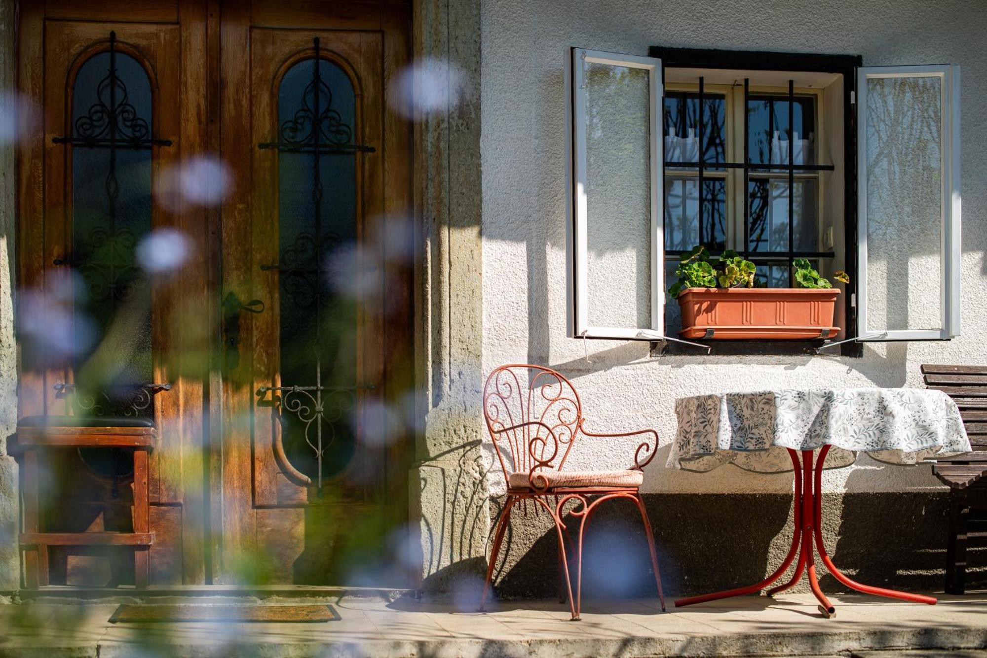 House, Garden And A Green Cat Блед Екстер'єр фото