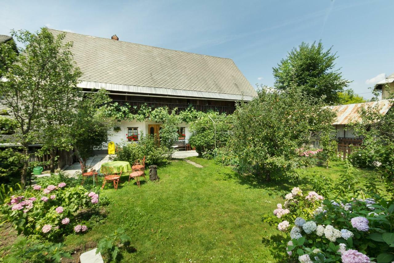 House, Garden And A Green Cat Блед Екстер'єр фото
