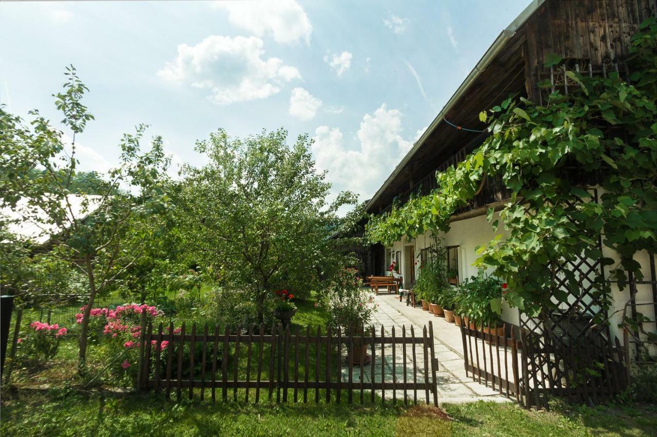 House, Garden And A Green Cat Блед Екстер'єр фото